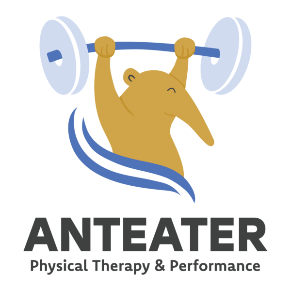 Anteater Physical Therapy and Performance