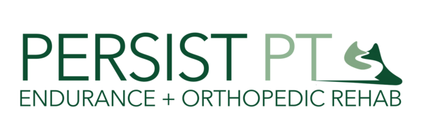 Persist Physical Therapy