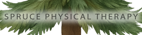 Spruce Physical Therapy