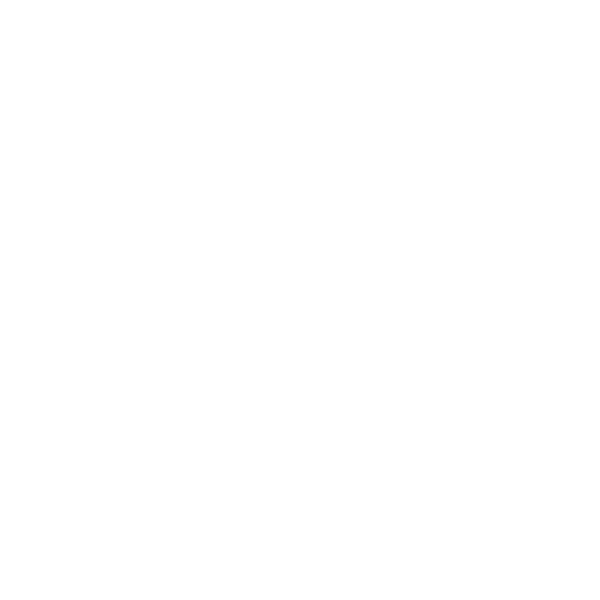 Define Wellness & Physical Therapy