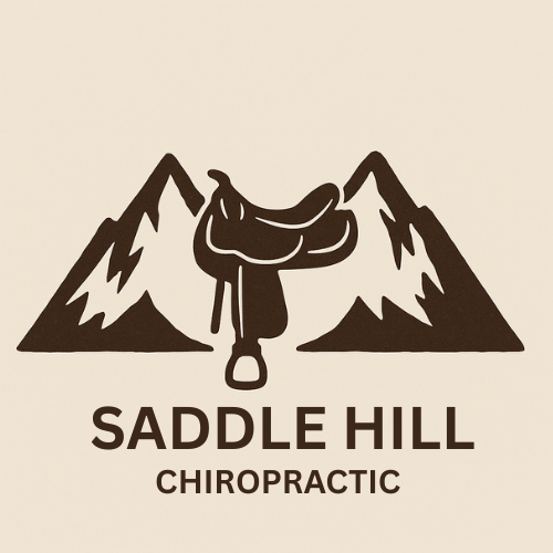 Saddle Hill Chiropractic PLLC