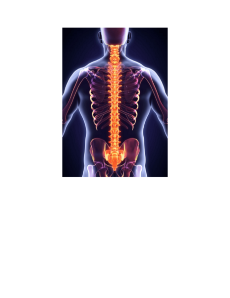 Verkuilen Chiropractic and Wellness Center