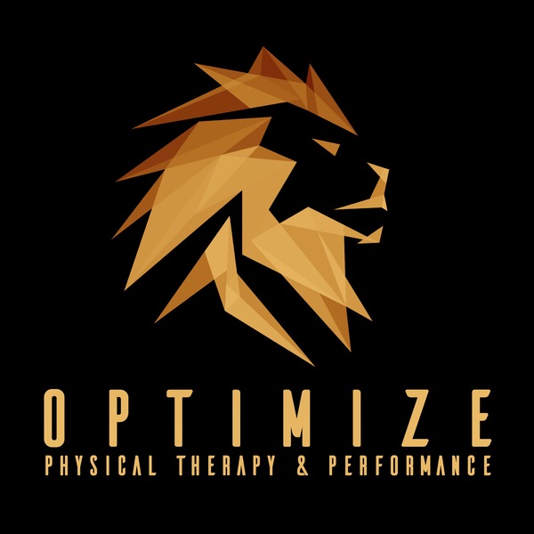 OPTIMIZE PHYSICAL THERAPY AND PERFORMANCE MI LLC