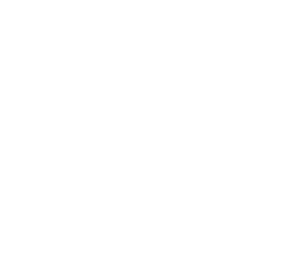 Light Chiropractic / Healing Center